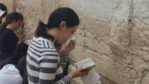 娱乐吃瓜君 网红是谁啊,网红背后的故事与影响力  第2张