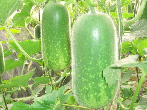 最新七夕吃瓜爆料图片,明星情侣幕后秘闻大揭秘  第3张