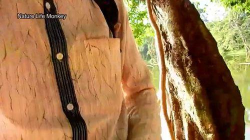 可爱的罗拉在线观看,在线观看的甜蜜冒险之旅  第1张